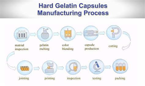 hard gelatin capsules manufacture